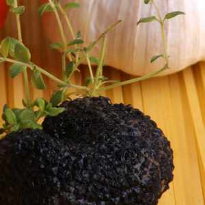 Black Truffle Garlic Infused Extra Virgin Olive Oil