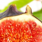 Fig Balsamic